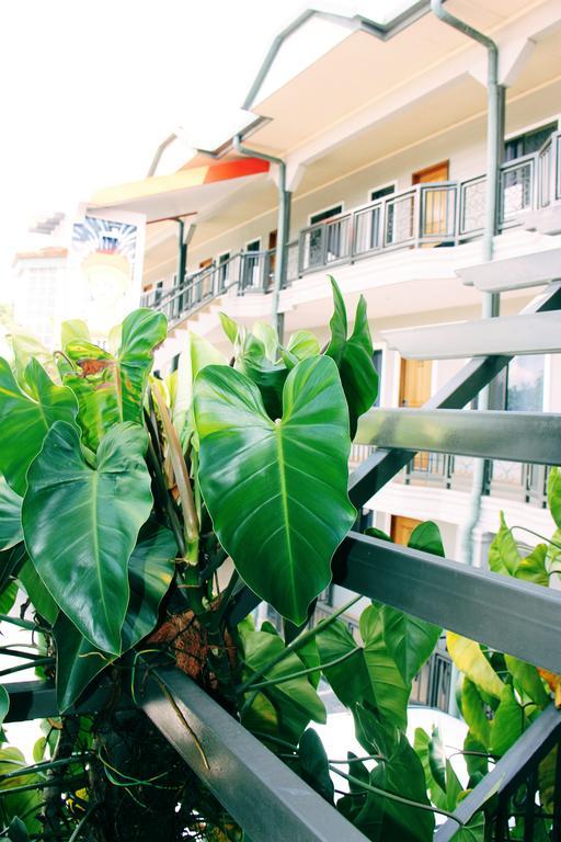 Citi Serviced Apartments And Motel - Korobosea Boroko 外观 照片