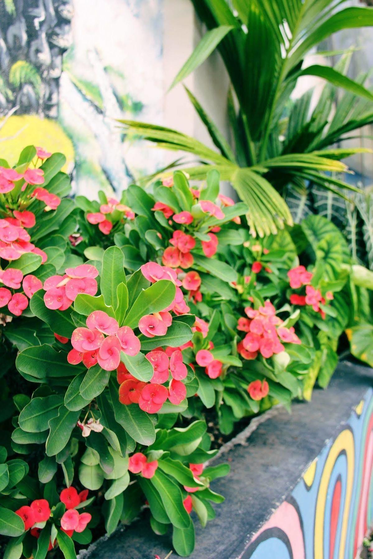 Citi Serviced Apartments And Motel - Korobosea Boroko 外观 照片